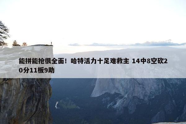 能拼能抢很全面！哈特活力十足难救主 14中8空砍20分11板9助