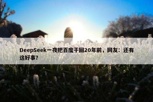 DeepSeek一夜把百度干回20年前，网友：还有这好事？