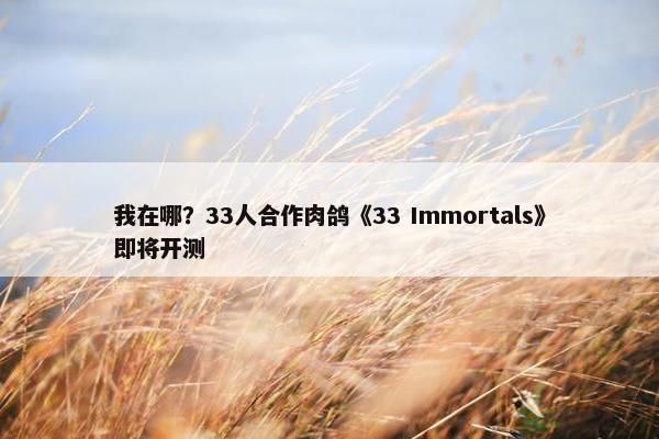 我在哪？33人合作肉鸽《33 Immortals》即将开测