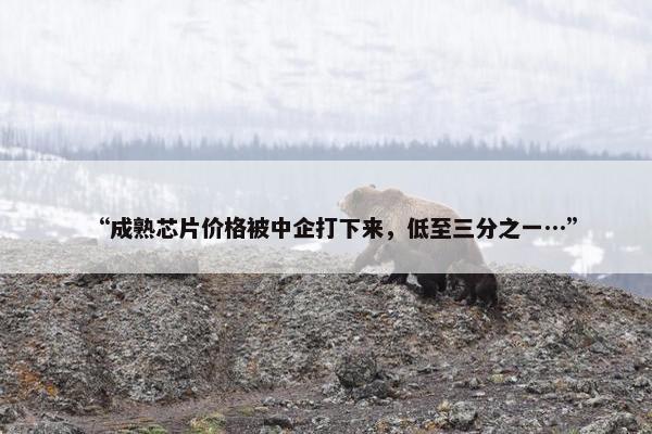 “成熟芯片价格被中企打下来，低至三分之一…”