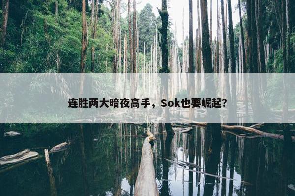 连胜两大暗夜高手，Sok也要崛起？