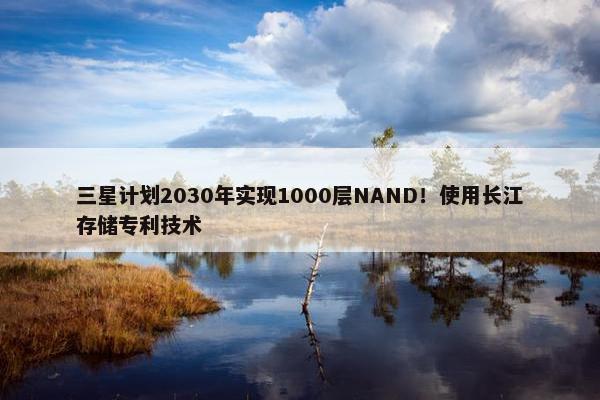 三星计划2030年实现1000层NAND！使用长江存储专利技术