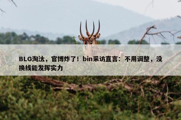 BLG淘汰，官博炸了！bin采访直言：不用调整，没换线能发挥实力