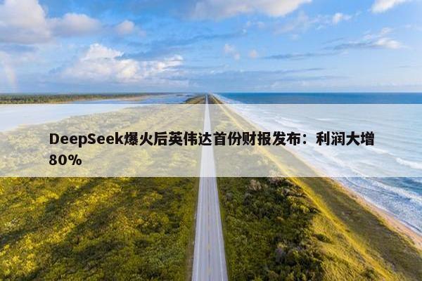 DeepSeek爆火后英伟达首份财报发布：利润大增80%