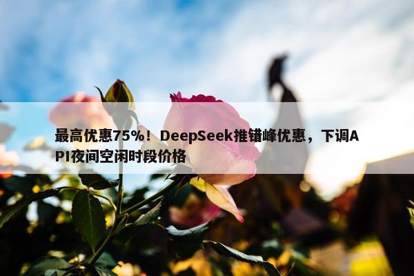 最高优惠75%！DeepSeek推错峰优惠，下调API夜间空闲时段价格