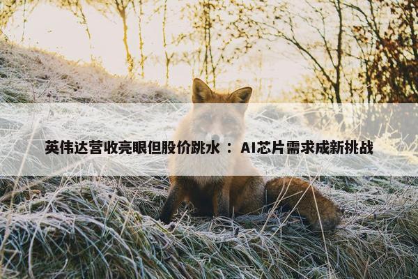 英伟达营收亮眼但股价跳水 ：AI芯片需求成新挑战