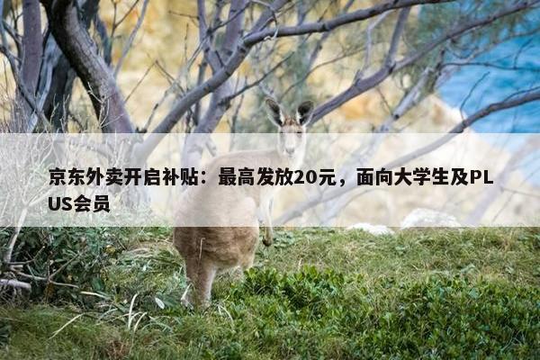 京东外卖开启补贴：最高发放20元，面向大学生及PLUS会员