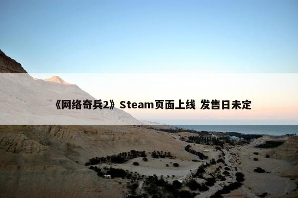 《网络奇兵2》Steam页面上线 发售日未定