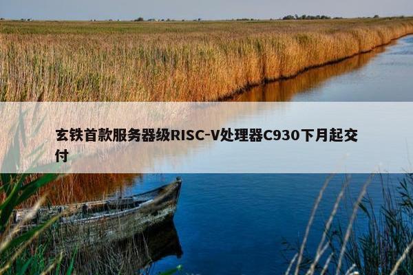 玄铁首款服务器级RISC-V处理器C930下月起交付   