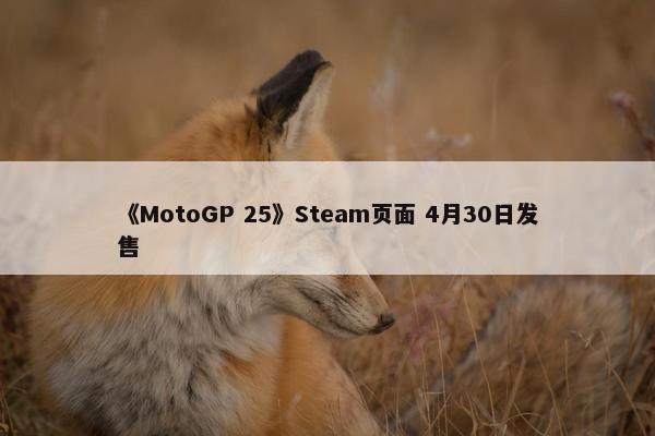 《MotoGP 25》Steam页面 4月30日发售