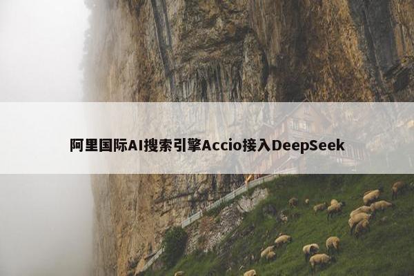 阿里国际AI搜索引擎Accio接入DeepSeek