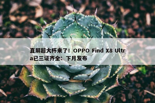 直屏超大杯来了！OPPO Find X8 Ultra已三证齐全：下月发布