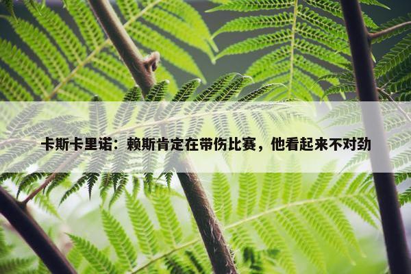 卡斯卡里诺：赖斯肯定在带伤比赛，他看起来不对劲