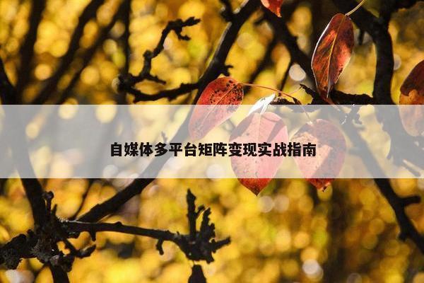 自媒体多平台矩阵变现实战指南