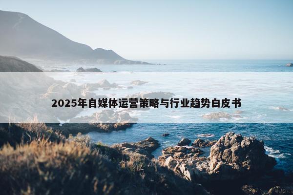 2025年自媒体运营策略与行业趋势白皮书