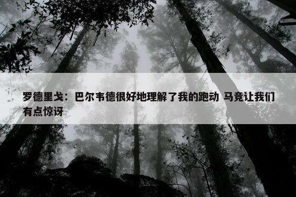 罗德里戈：巴尔韦德很好地理解了我的跑动 马竞让我们有点惊讶