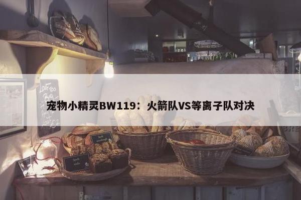 宠物小精灵BW119：火箭队VS等离子队对决