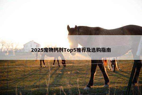 2025宠物钙剂Top5推荐及选购指南