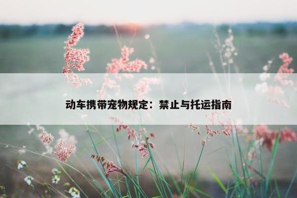 动车携带宠物规定：禁止与托运指南