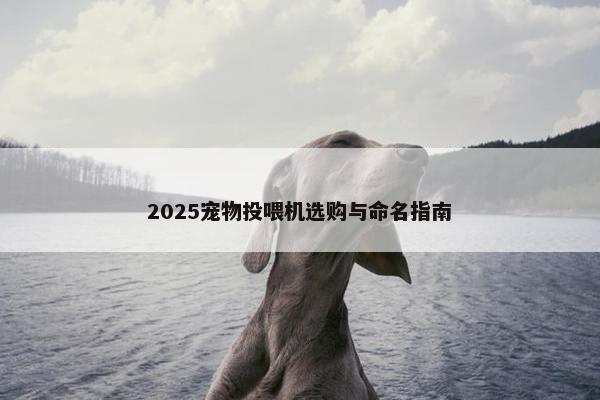 2025宠物投喂机选购与命名指南