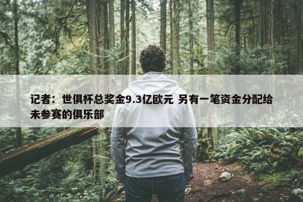 记者：世俱杯总奖金9.3亿欧元 另有一笔资金分配给未参赛的俱乐部