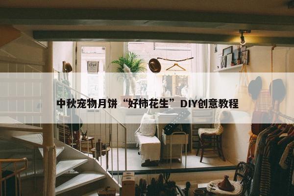 中秋宠物月饼“好柿花生”DIY创意教程