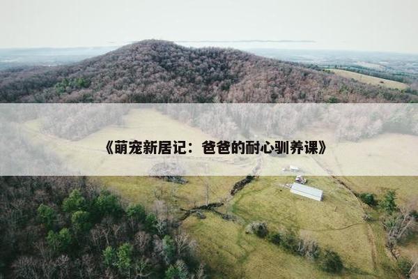 《萌宠新居记：爸爸的耐心驯养课》