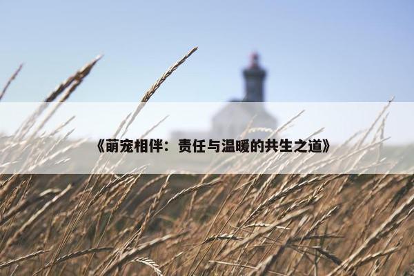 《萌宠相伴：责任与温暖的共生之道》