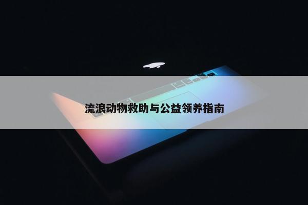 流浪动物救助与公益领养指南