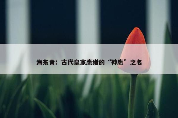 海东青：古代皇家鹰猎的“神鹰”之名