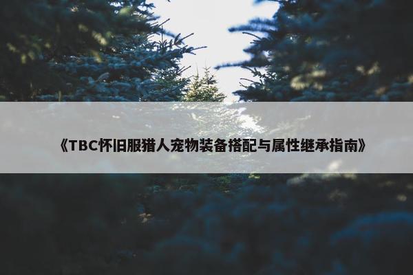 《TBC怀旧服猎人宠物装备搭配与属性继承指南》