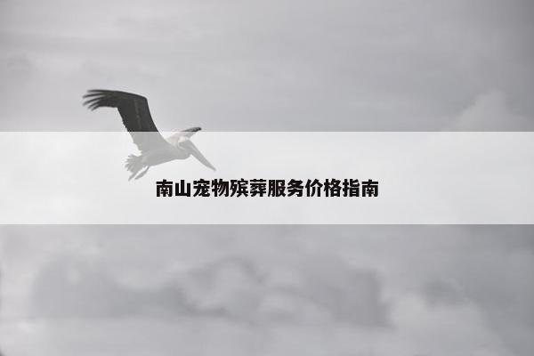 南山宠物殡葬服务价格指南