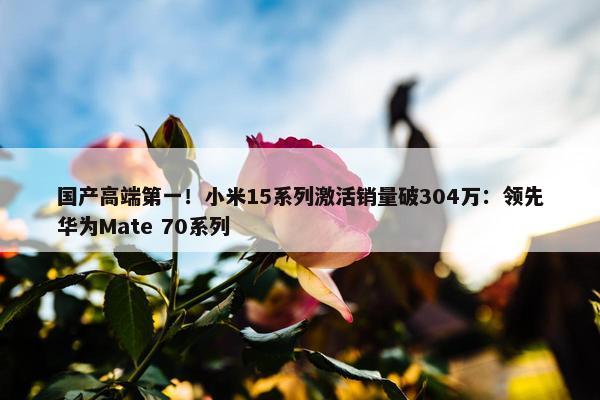 国产高端第一！小米15系列激活销量破304万：领先华为Mate 70系列