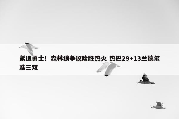 紧追勇士！森林狼争议险胜热火 热巴29+13兰德尔准三双