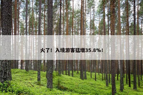 火了！入境游客猛增35.8%！