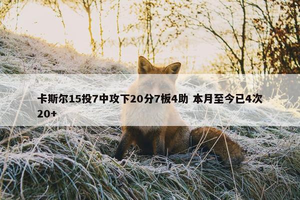 卡斯尔15投7中攻下20分7板4助 本月至今已4次20+