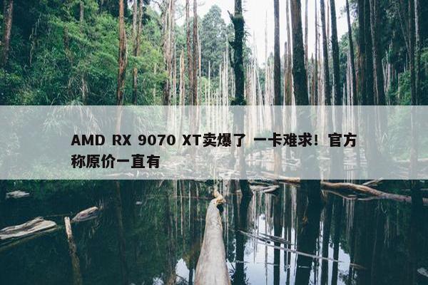 AMD RX 9070 XT卖爆了 一卡难求！官方称原价一直有