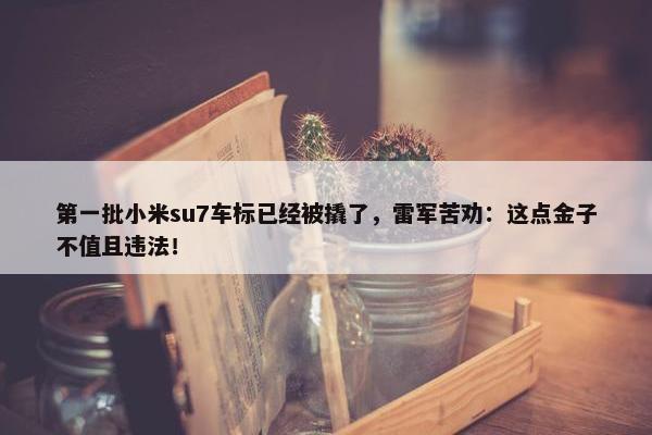 第一批小米su7车标已经被撬了，雷军苦劝：这点金子不值且违法！