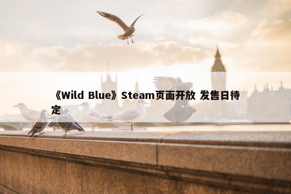 《Wild Blue》Steam页面开放 发售日待定