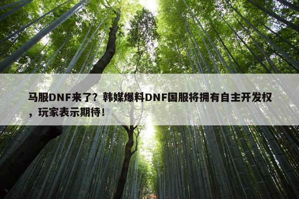 马服DNF来了？韩媒爆料DNF国服将拥有自主开发权，玩家表示期待！