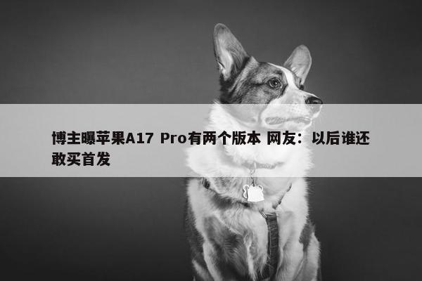 博主曝苹果A17 Pro有两个版本 网友：以后谁还敢买首发