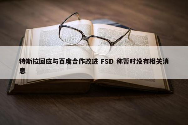 特斯拉回应与百度合作改进 FSD 称暂时没有相关消息