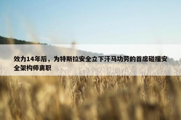 效力14年后，为特斯拉安全立下汗马功劳的首席碰撞安全架构师离职