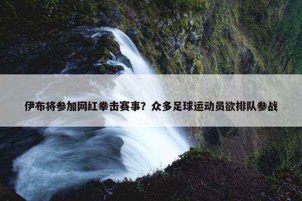 伊布将参加网红拳击赛事？众多足球运动员欲排队参战