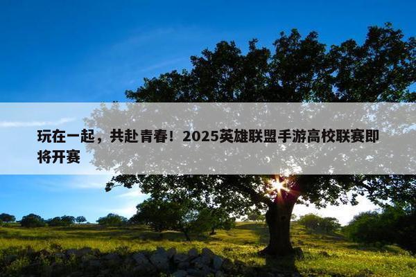 玩在一起，共赴青春！2025英雄联盟手游高校联赛即将开赛