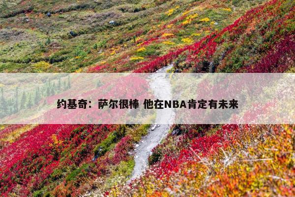 约基奇：萨尔很棒 他在NBA肯定有未来