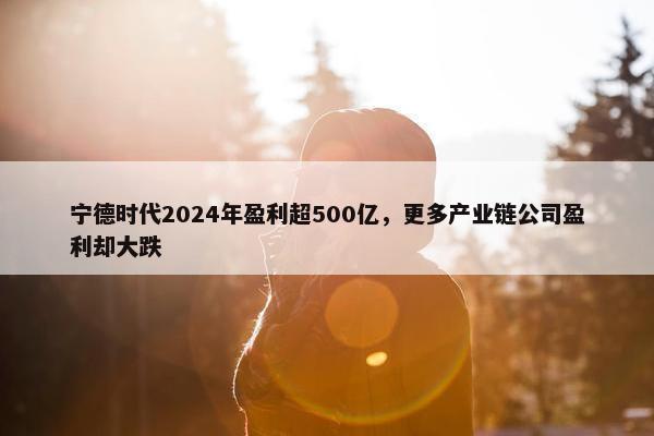 宁德时代2024年盈利超500亿，更多产业链公司盈利却大跌