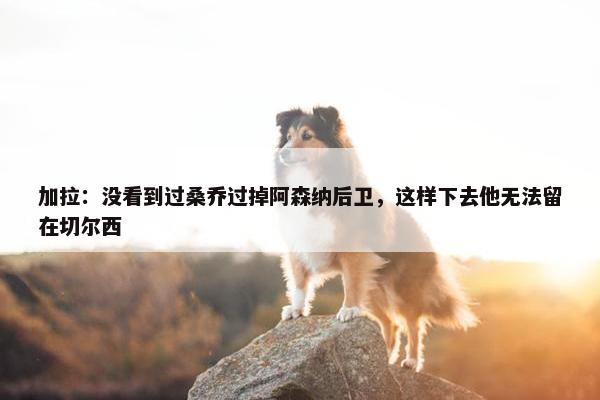 加拉：没看到过桑乔过掉阿森纳后卫，这样下去他无法留在切尔西